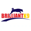 BrilliantK9 Coupon Codes